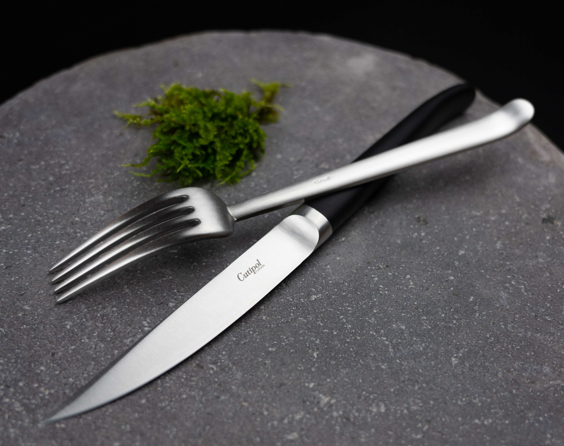 Cutipol RIB Steak Knife and Ergo Matte Dinner Fork