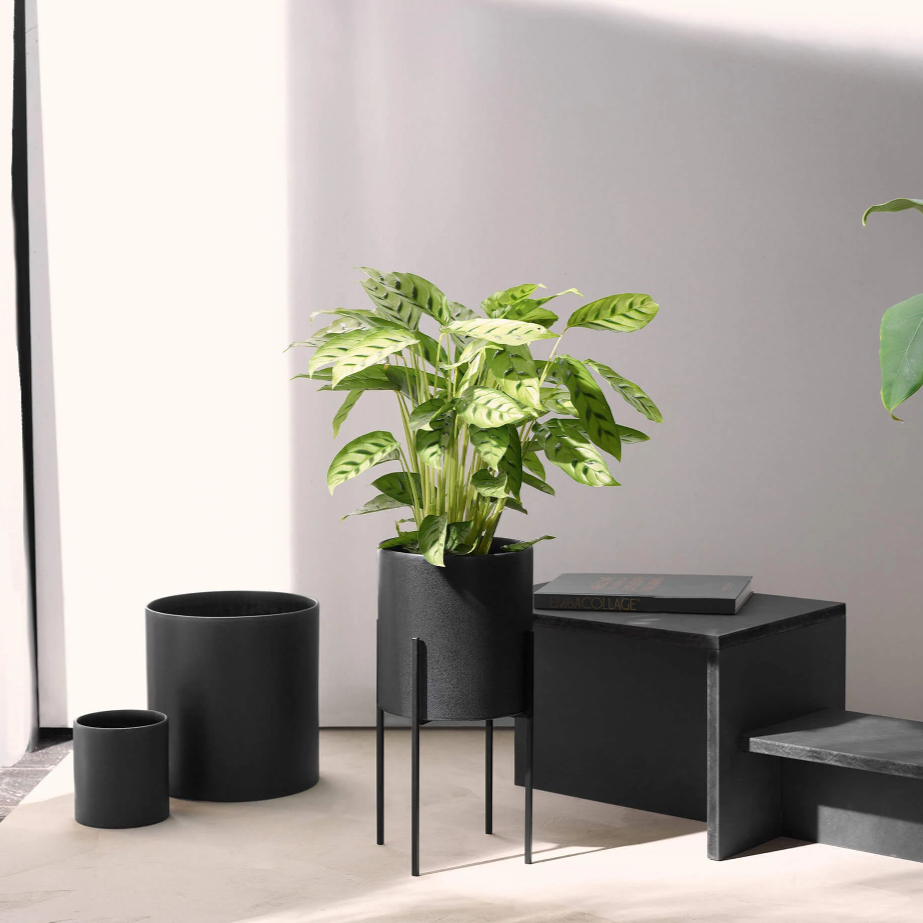 ASA Haruko - Vase holder black #2