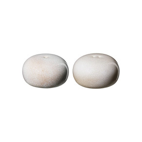 ASA Saisons - Salt and Pepper shaker white set