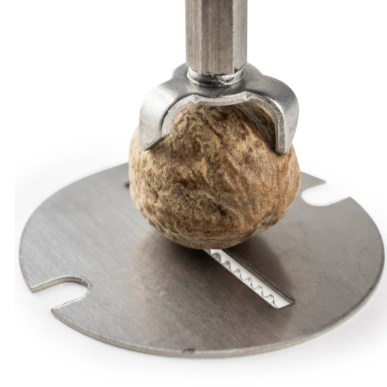 PEUGEOT Tidore - Nutmeg grinding mill #4
