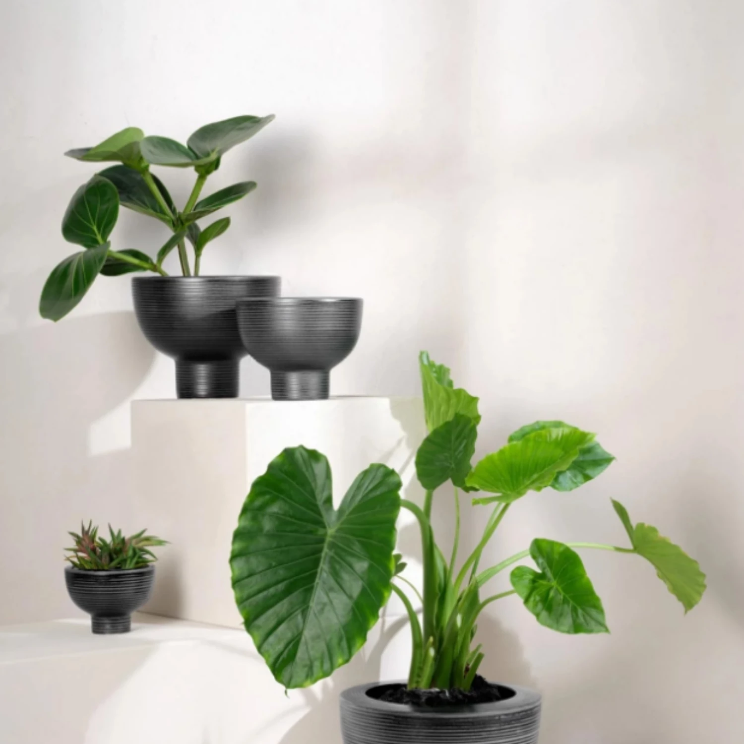 ASA Midoro - Vase black L #3