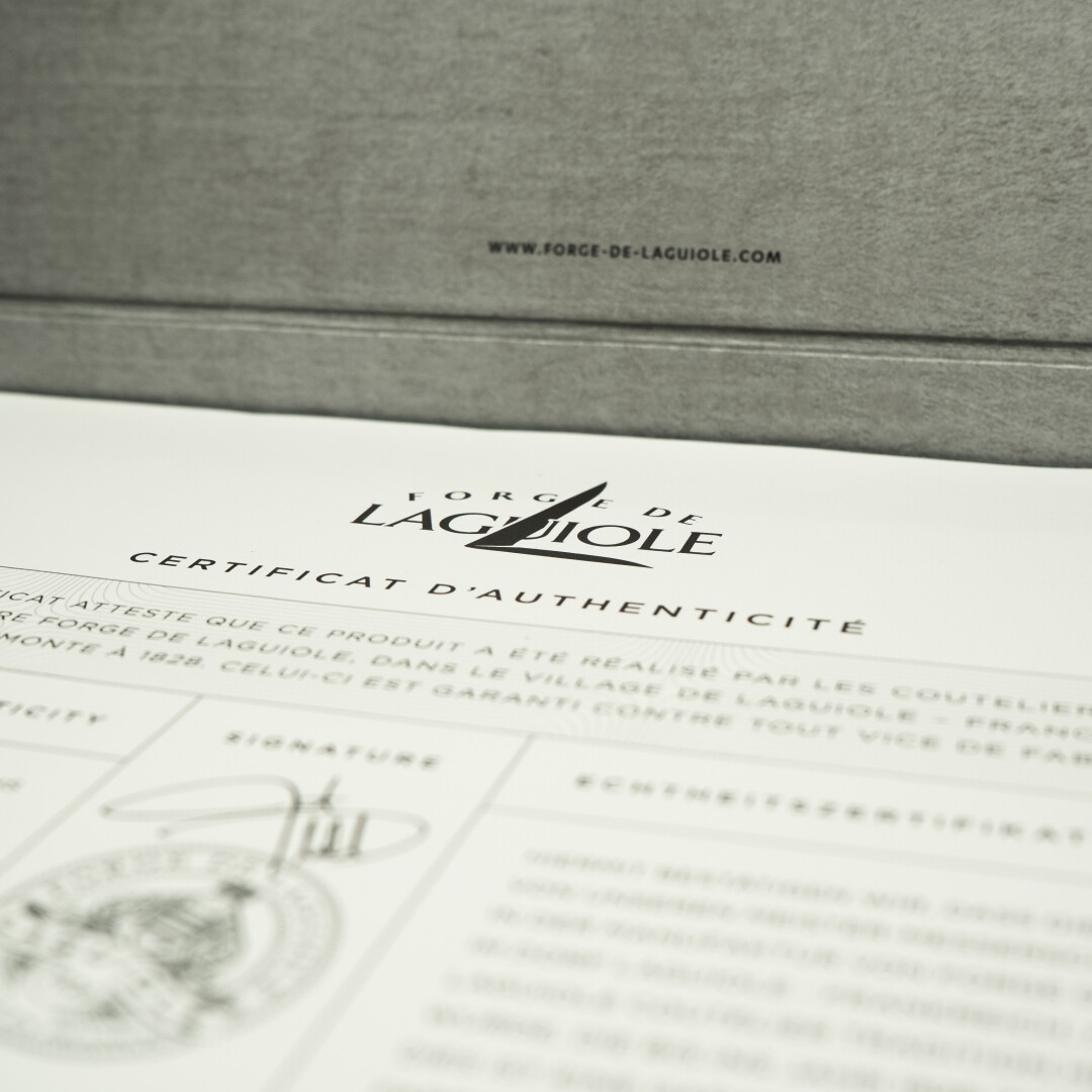 FORGE DE LAGUIOLE Signature - Folding knife Bras #2