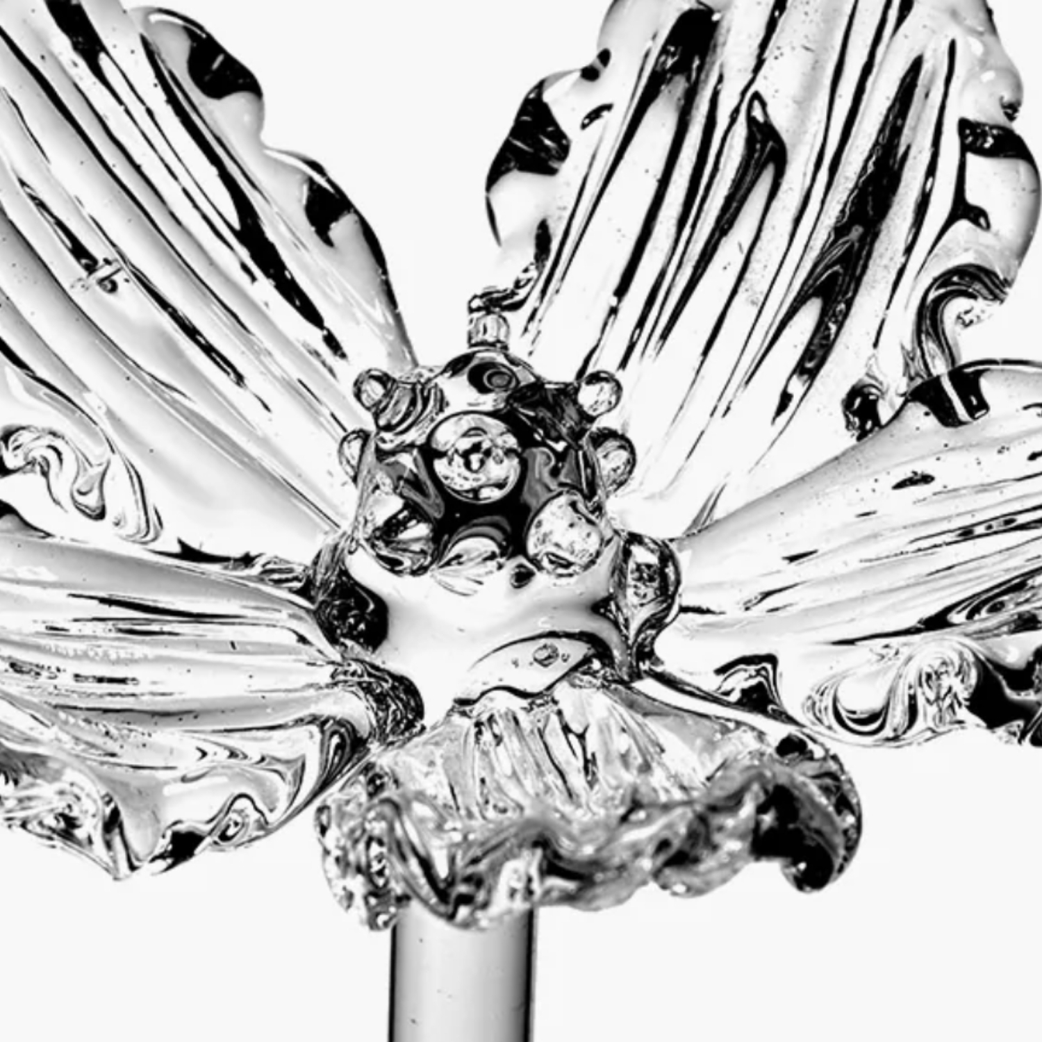 SERAX Josephine - Flower poppy glass #3