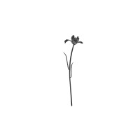 SERAX Josephine - Flor tulipa de vidro preta