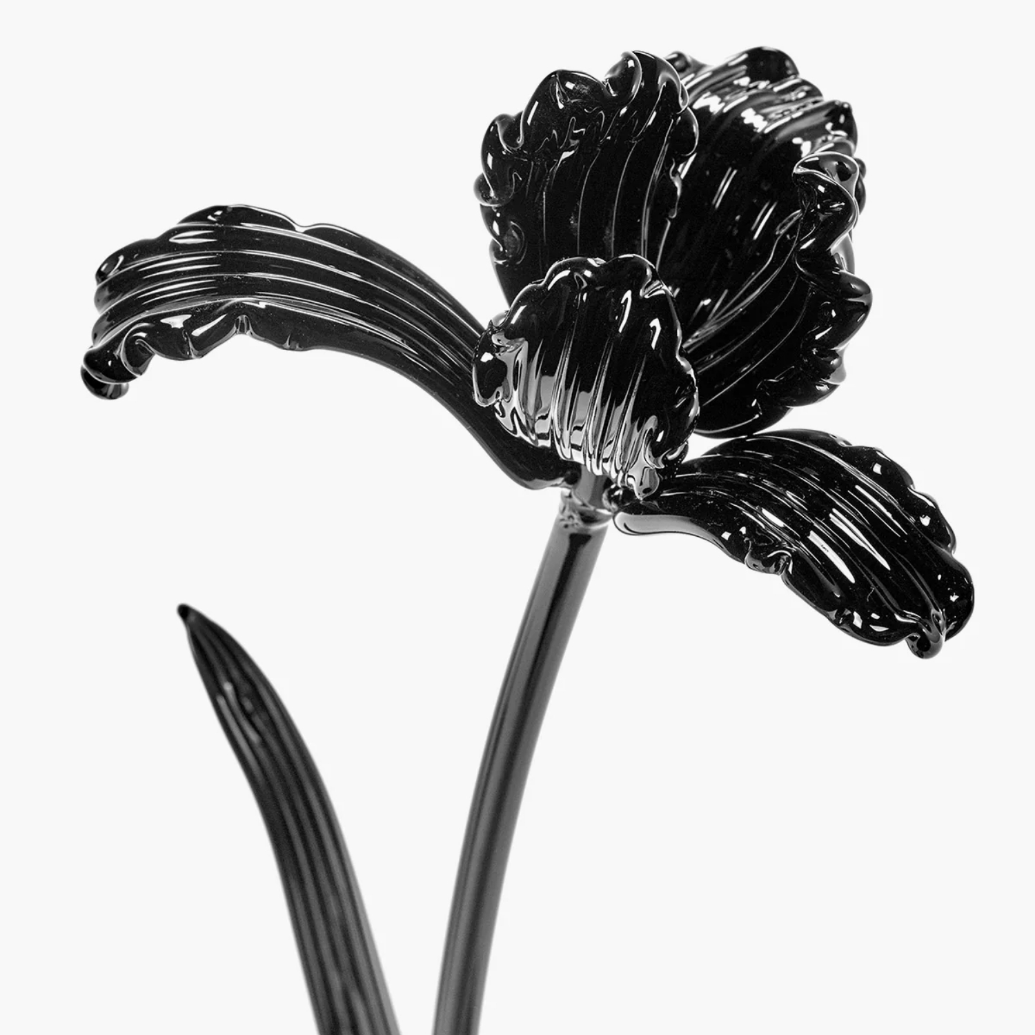 SERAX Josephine - Flower tulip glass black #2